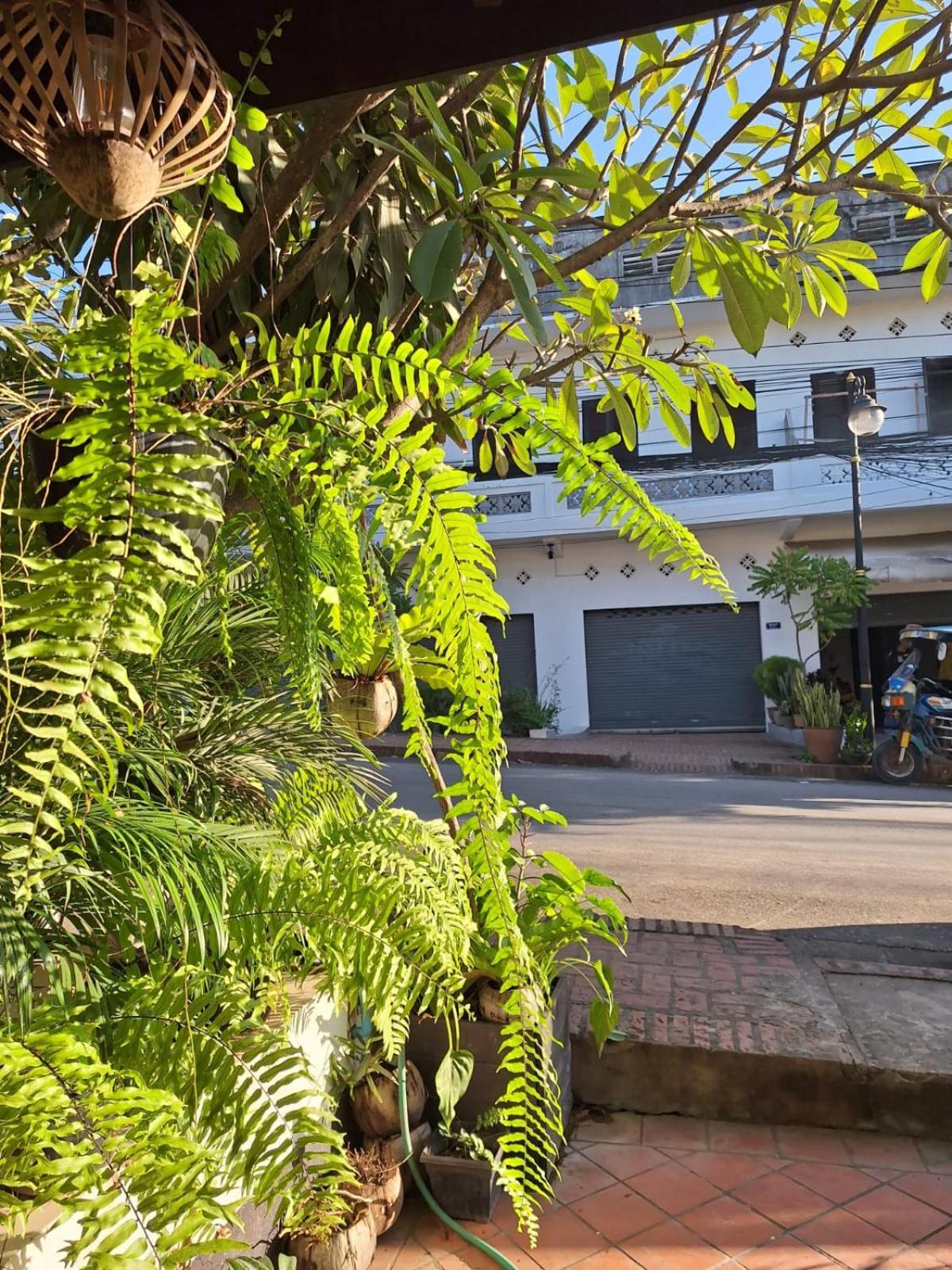 Phai Guesthouse Luang Prabang Exterior foto